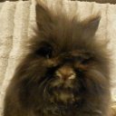 Jill Aaron - @Sashafemme - Twitter