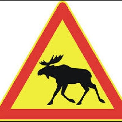 Moose gaming