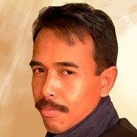The Journalist