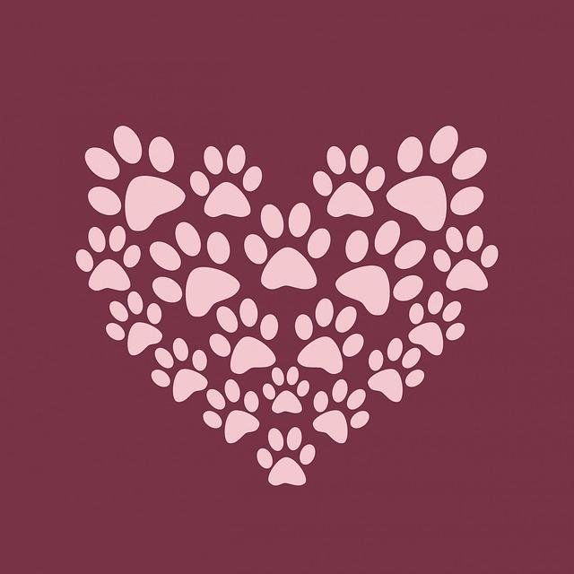 The Canine Stroller offers professional and reliable Pet Services such as Dog walking and Pet Check-Ins. Established and Licensed business. 15+yrs experience