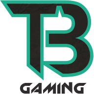 @TextBook_Gaming 's Dota Team