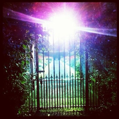 lynchsarah's profile picture. 