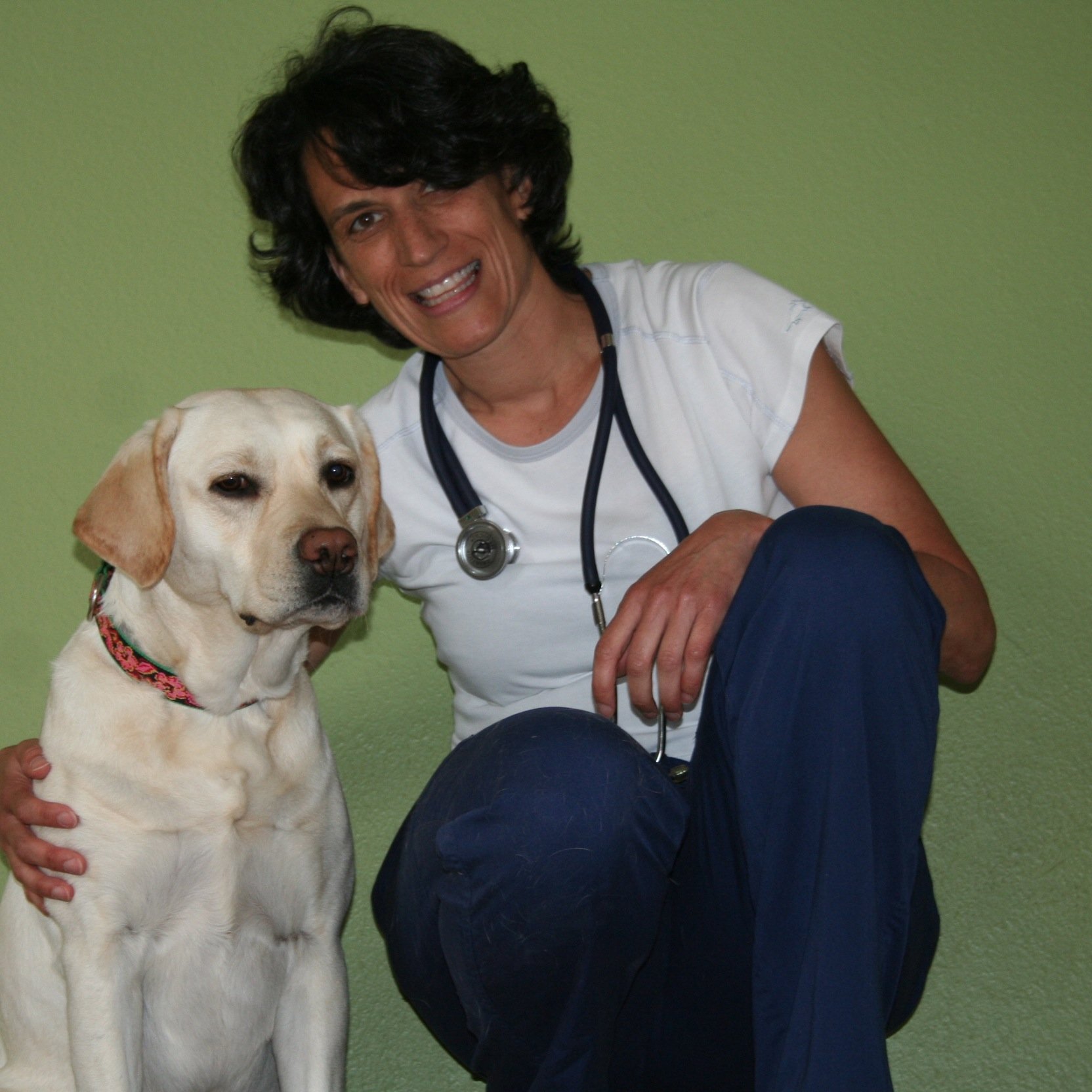 elizdevitt's profile picture. Veterinarian-turned-science writer. my beat is wherever there are stories to share about medicine, health, animals and the environment. Tanguera, too.