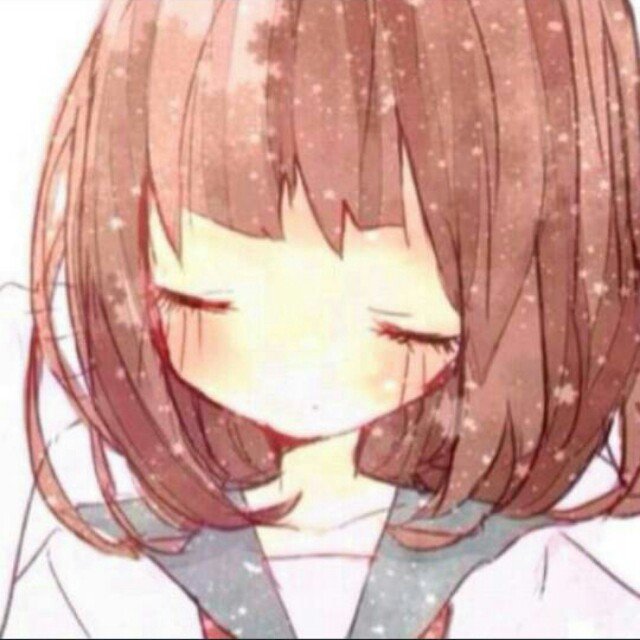 ちぇしゃ｡ さんのプロフィール画像