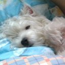 Ryan Tsoi - @ryan_tsoi - Twitter