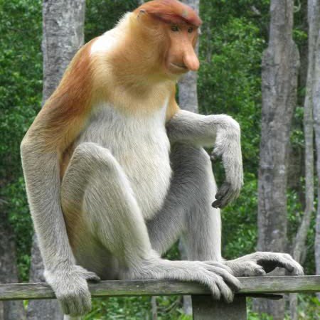 leo_peleo's profile picture. 