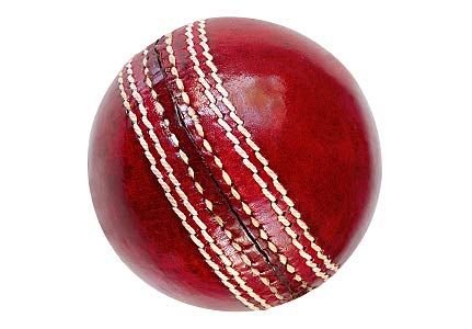 tvanvelden's profile picture. 