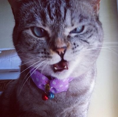 sammy29r's profile picture. 