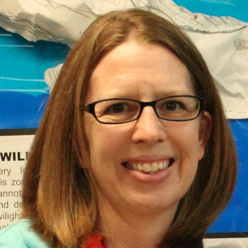 msethna23's profile picture. High School Literacy Coach
trying to make my way in this Twitter World