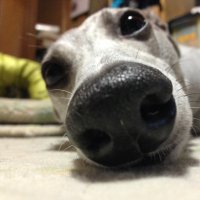 メッシ (@takuya7172) 's Twitter Profile