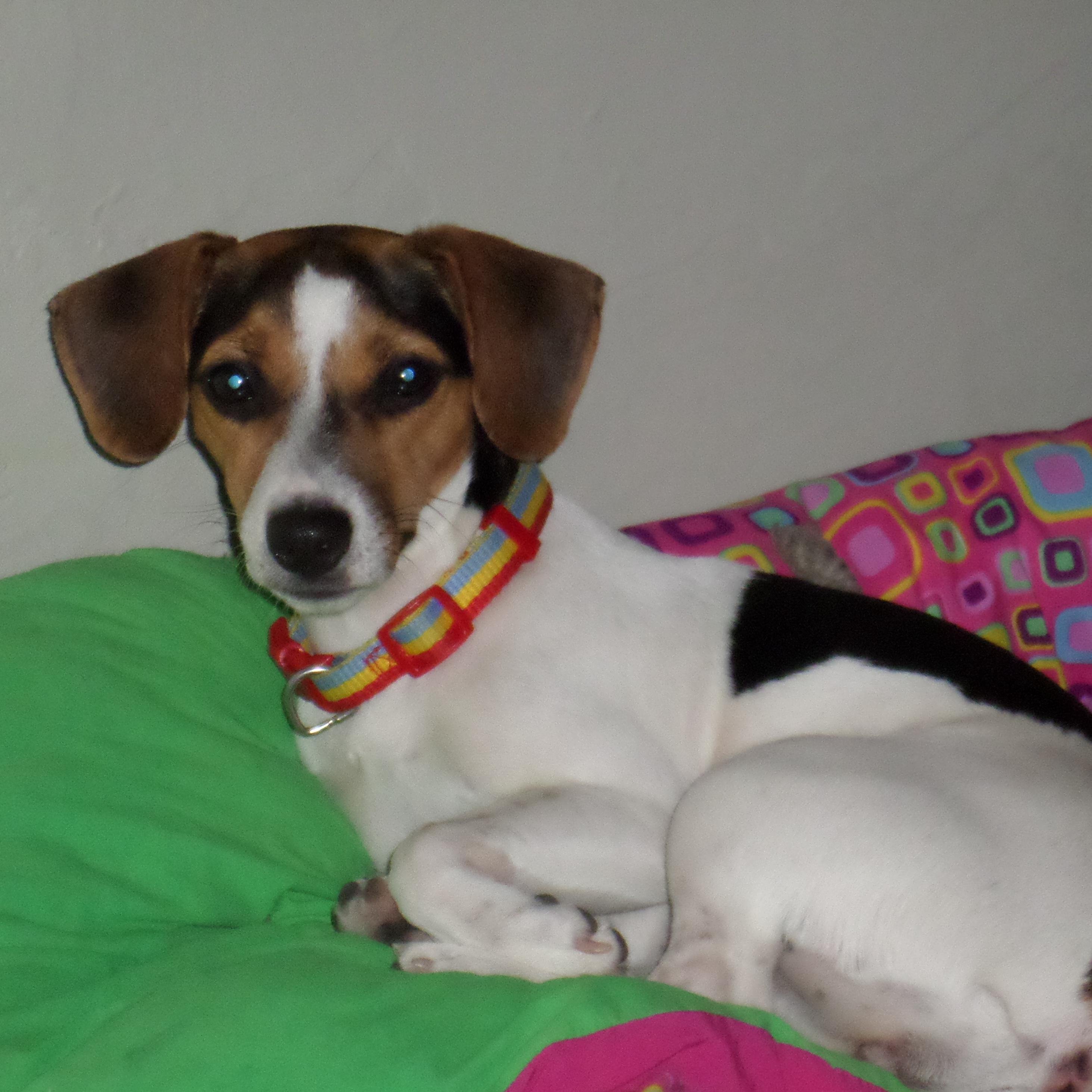 indergar's profile picture. 