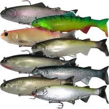 { DREAM BIG , FISH BIG }