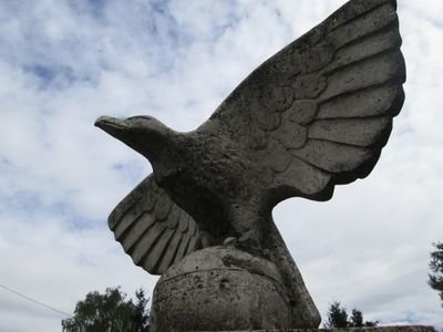 AnarchyZone99's profile picture. 