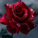 Mary Carrasquillo - @blancanieves181 - Twitter