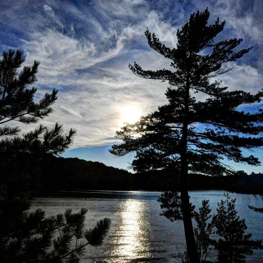 acmuskoka's profile picture. Opinions are my own