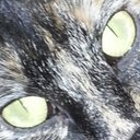 Beth Millican - @BethMillican - Twitter