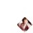 GN9999X's profile image
