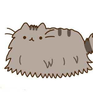 zinnnnnnnnn's profile picture. Good vibes.