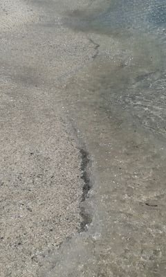 Sardegnaaaaa's profile picture. 