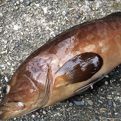 YouTubeでCODのSR実況やってます！ https://t.co/YvzFovEi0s よかったらチャンネル登録よろしくです！