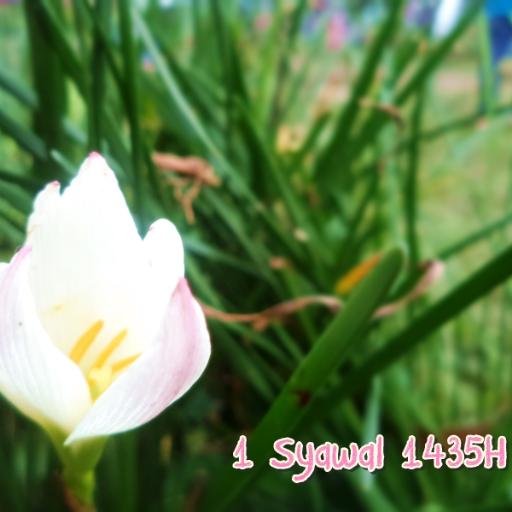 Adeliamulyaa's profile picture. Pokoknya Menulis !