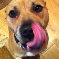 Freddie Evans (@freddieslife) 's Twitter Profile