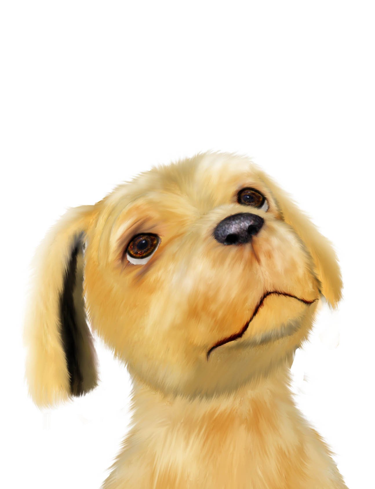 I was an only, lonely puppy until I found my first friend.  Will you play with me? Proceeds from the sale of my book will help Canine Companions.