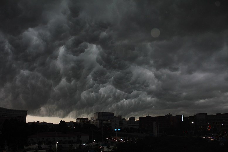 rey_ledscreen's profile picture. led screen manufacturer