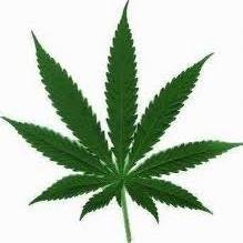 Michigan Medical Marijuana Dispensary.  Deliveries only, Plymouth area