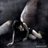 Iloveskillet14's profile image