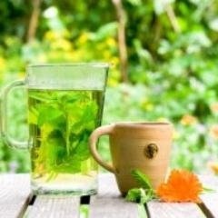 Manufacturer of Herbal Tea, Moringa Tea, Tulsi Tea , Moringa Powder and Stevia Powder....