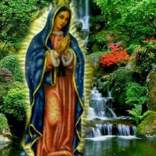 Xapi_23's profile picture. 