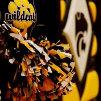 Janesville CSD (@jcsdwildcats) 's Twitter Profile