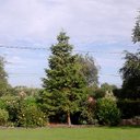 Paul Larkin - @WinningPaulLark - Twitter