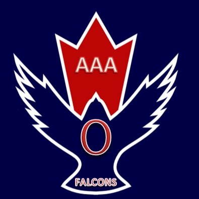We are the Ottawa Falcons! Part of the Toon Hockey league DM if you are intrested in getting drafted