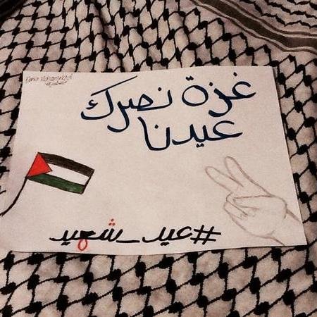 zerhouni641's profile picture. 