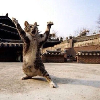中村圭佑 Nk Kuo Twitter 中村圭佑 Nk Kuo Twitter