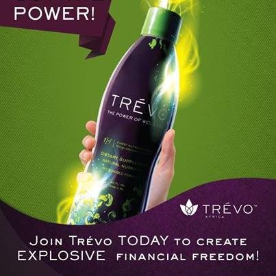 TrevoInfo's profile picture. 