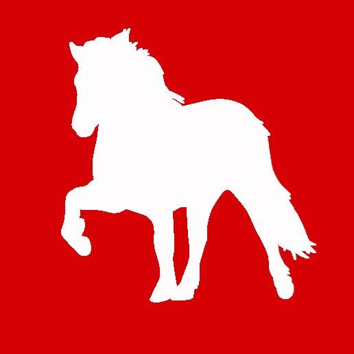 islandundpferd's profile picture. Reiterferien und Reittouren auf Island