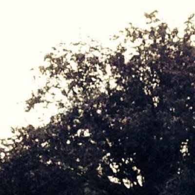 SupSupcookie's profile picture. 