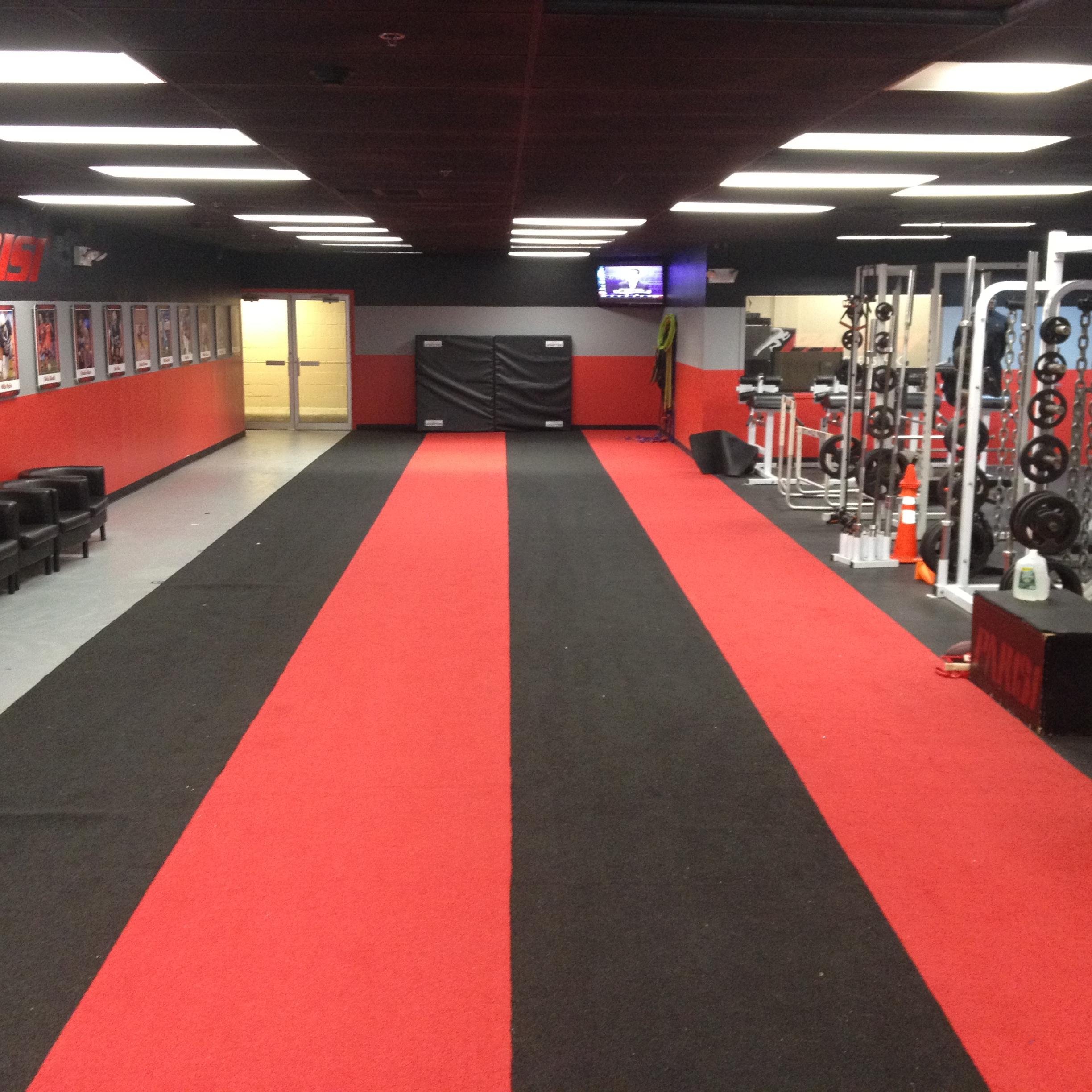 Industry Leader In Performance Enhancement

236 Richmond Valley Rd, SI, NY 10309

718-370-0500