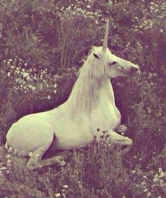 _bio_12's profile picture. Esse follow é grátis sei que você é legal e vai seguir pra mim @ unbrkegirI só pedir que ela segue de volta. Espero que seu idolo te siga ❤