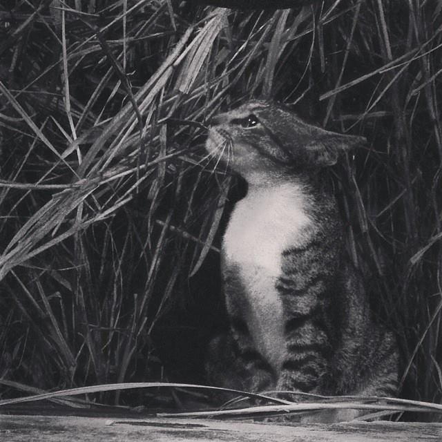 philotheal's profile picture. “The future belongs to those who believe in the beauty of their dreams.” ― Eleanor Roosevelt