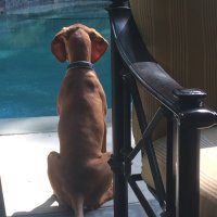 dan keith (@dandkeith3) 's Twitter Profile
