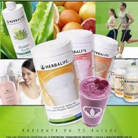 Nutrición-Bienestar (@_herbalife_dist) 's Twitter Profile