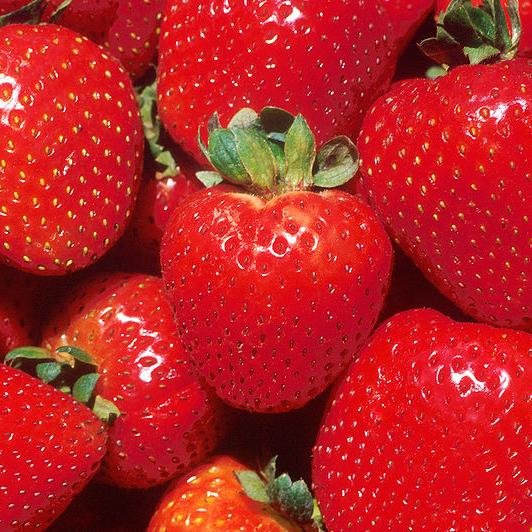 Making it easy for you to find the best in #organic #beauty, #food, and all things #ecofriendly