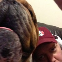 sean fewell (@seanfewel) 's Twitter Profile