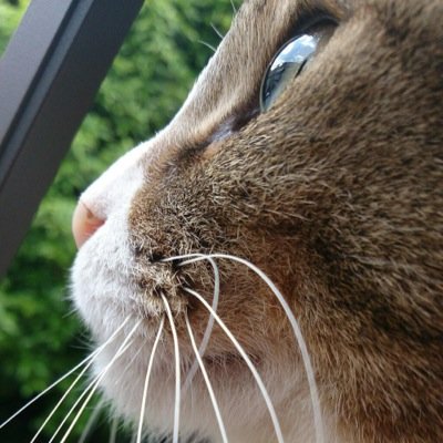 nao_adhd's profile picture. ADHD持ち、22歳の裏垢。高校以降はカミングアウトせずに生活しています。書きたい時に連投してしまう癖があります。ご了承ください。