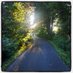 Comber Greenway (@combergreenway) Twitter profile photo Comber Greenway (@combergreenway) Twitter profile photo