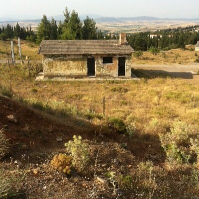 vasoeleon's profile picture. 